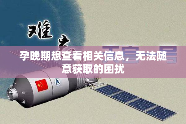 孕晚期想查看相关信息，无法随意获取的困扰
