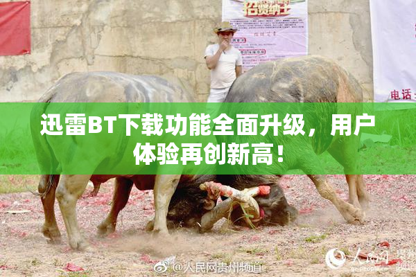 迅雷BT下载功能全面升级，用户体验再创新高！