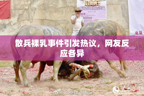 散兵裸乳事件引发热议，网友反应各异