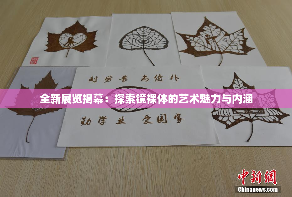全新展览揭幕：探索镜裸体的艺术魅力与内涵