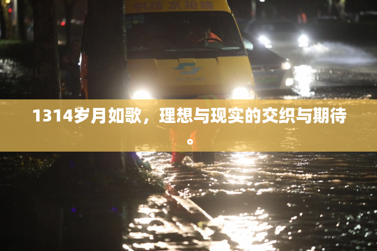 1314岁月如歌，理想与现实的交织与期待。
