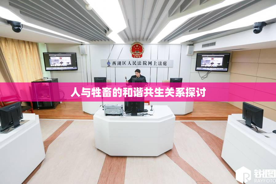 人与牲畜的和谐共生关系探讨