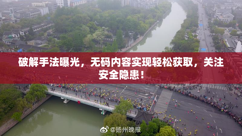 破解手法曝光，无码内容实现轻松获取，关注安全隐患！