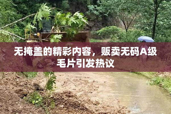 无掩盖的精彩内容，贩卖无码A级毛片引发热议