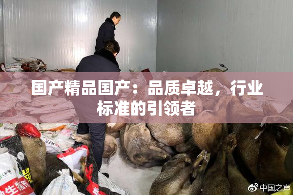 国产精品国产：品质卓越，行业标准的引领者