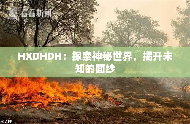 HXDHDH：探索神秘世界，揭开未知的面纱
