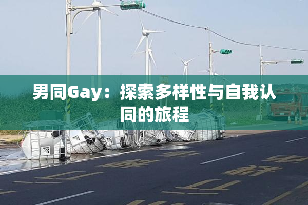 男同Gay：探索多样性与自我认同的旅程