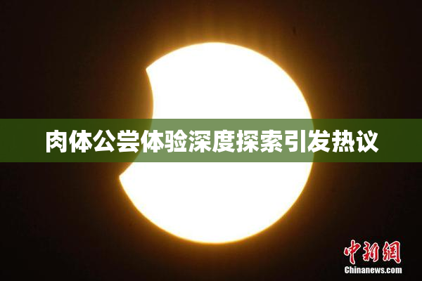 肉体公尝体验深度探索引发热议