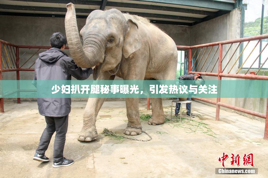 少妇扒开腿秘事曝光，引发热议与关注