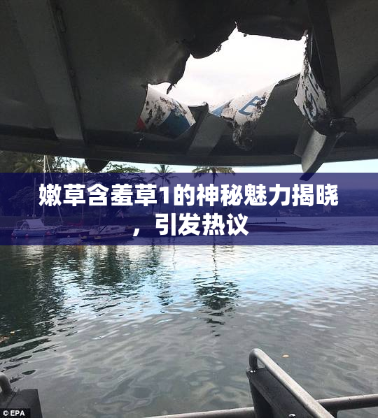 嫩草含羞草1的神秘魅力揭晓，引发热议
