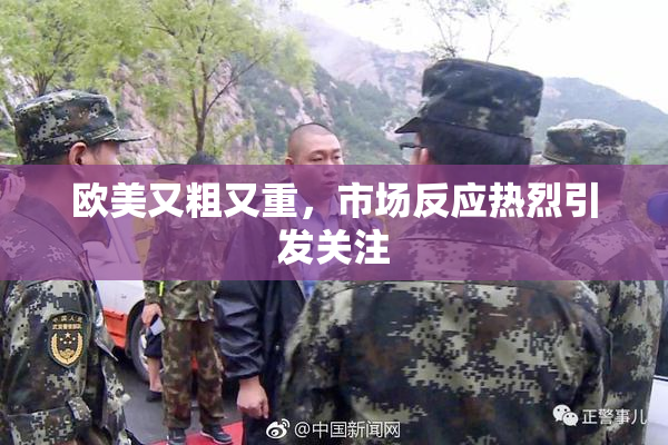 欧美又粗又重，市场反应热烈引发关注