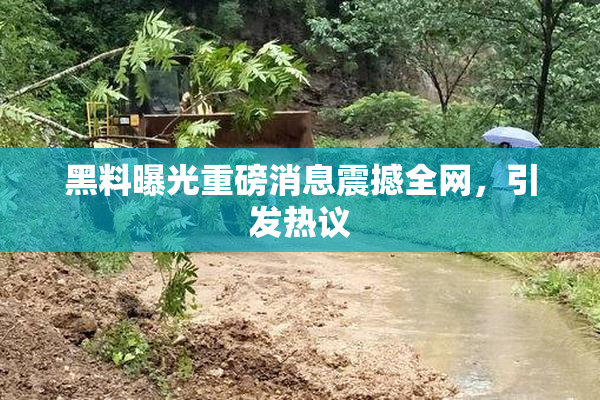黑料曝光重磅消息震撼全网，引发热议