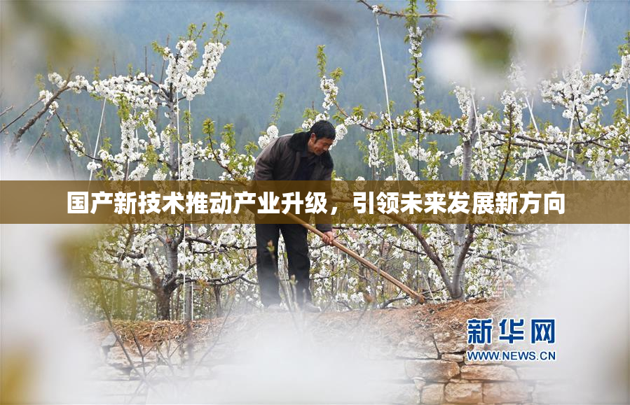 国产新技术推动产业升级，引领未来发展新方向