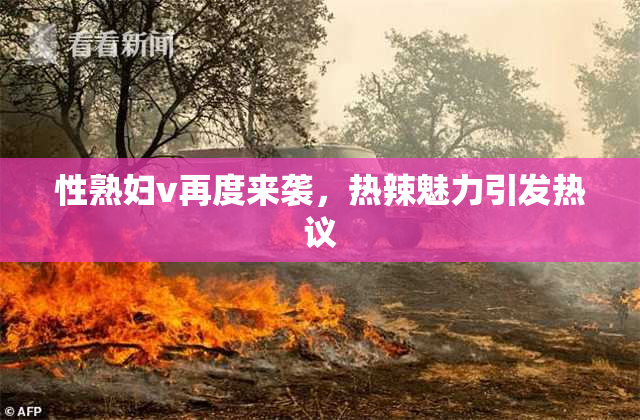 性熟妇v再度来袭，热辣魅力引发热议