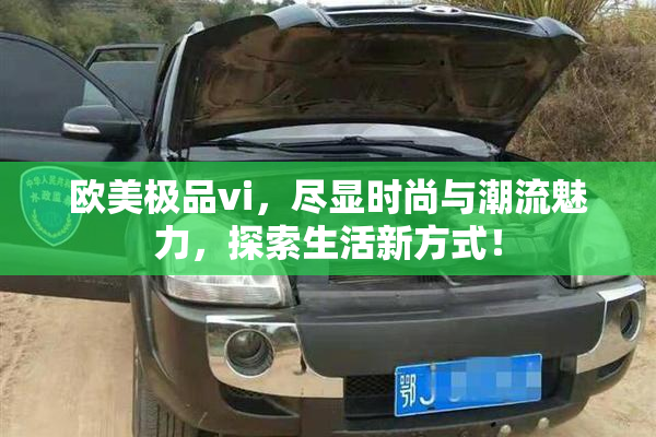 欧美极品vi，尽显时尚与潮流魅力，探索生活新方式！