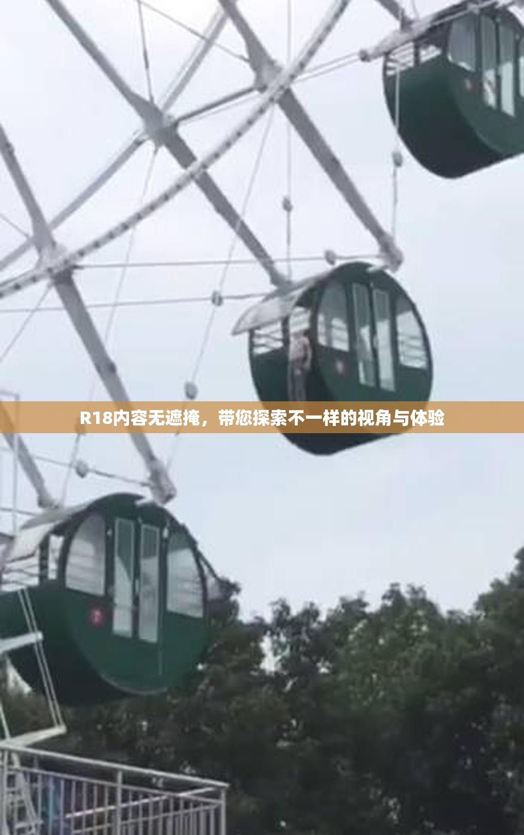 R18内容无遮掩，带您探索不一样的视角与体验