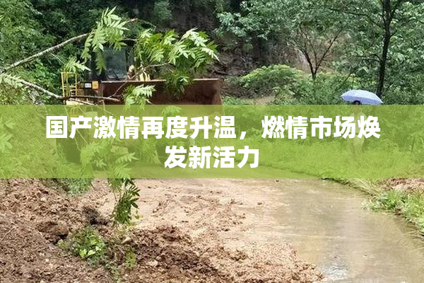 国产激情再度升温，燃情市场焕发新活力