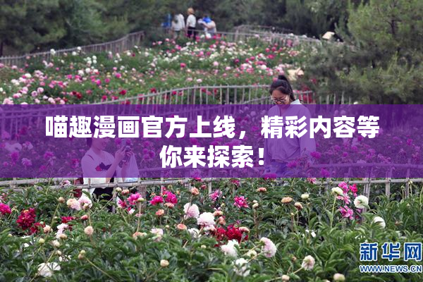 喵趣漫画官方上线，精彩内容等你来探索！