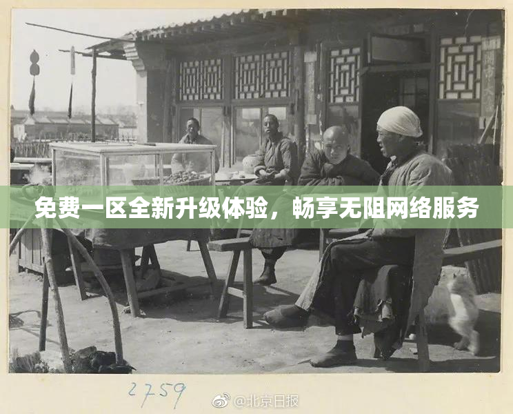 免费一区全新升级体验，畅享无阻网络服务
