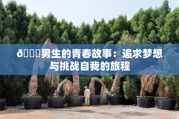 🔞男生的青春故事：追求梦想与挑战自我的旅程