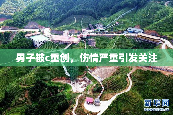 男子被c重创，伤情严重引发关注