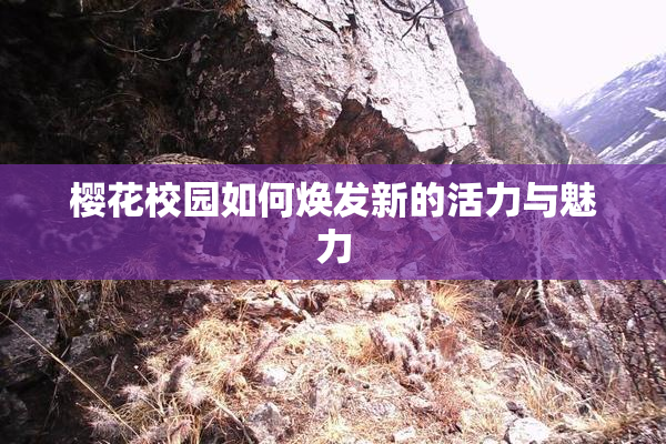 樱花校园如何焕发新的活力与魅力