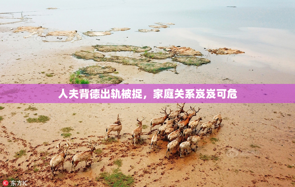 人夫背德出轨被捉，家庭关系岌岌可危