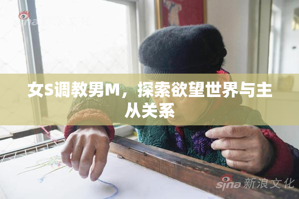 女S调教男M，探索欲望世界与主从关系
