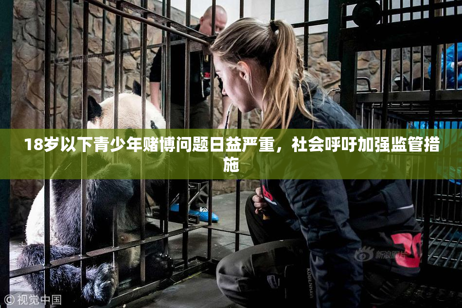 18岁以下青少年赌博问题日益严重，社会呼吁加强监管措施