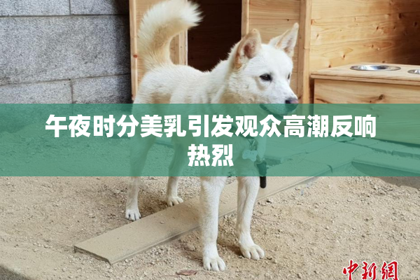 午夜时分美乳引发观众高潮反响热烈