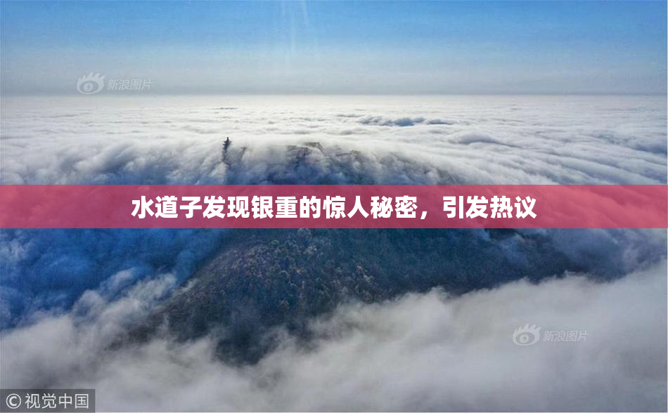 水道子发现银重的惊人秘密，引发热议