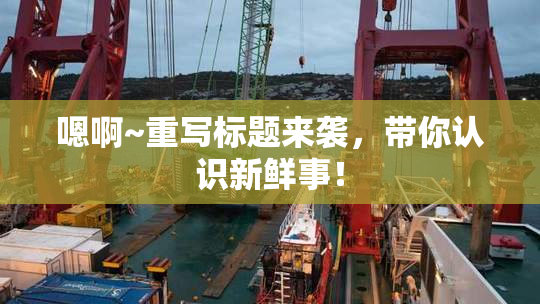 嗯啊~重写标题来袭，带你认识新鲜事！