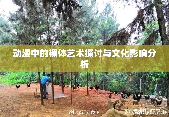动漫中的裸体艺术探讨与文化影响分析