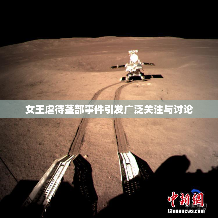 女王虐待茎部事件引发广泛关注与讨论