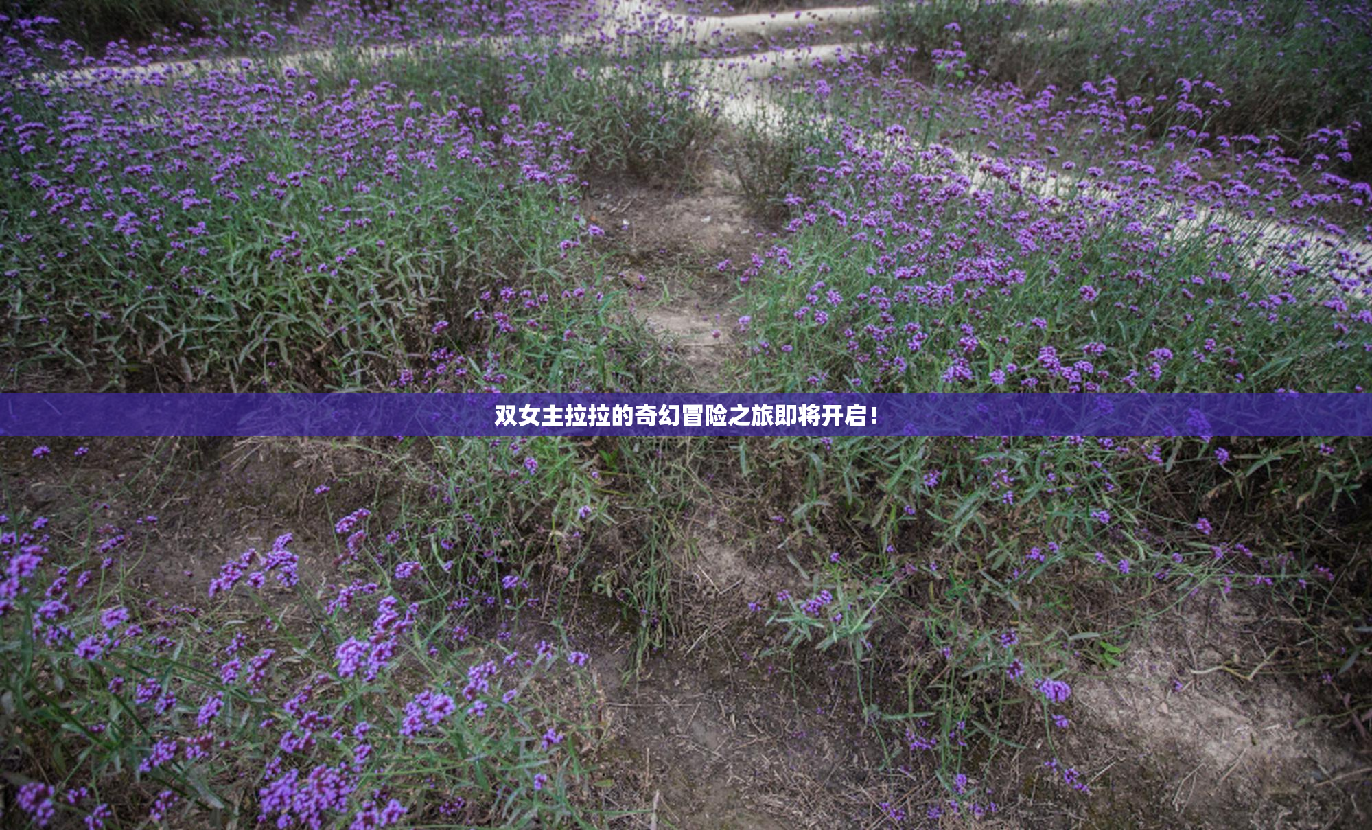 双女主拉拉的奇幻冒险之旅即将开启！