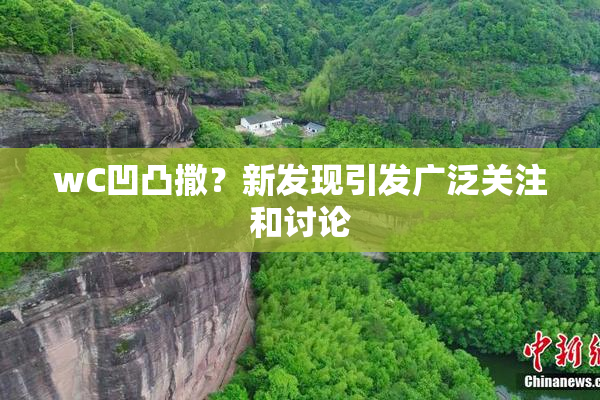 wC凹凸撒？新发现引发广泛关注和讨论