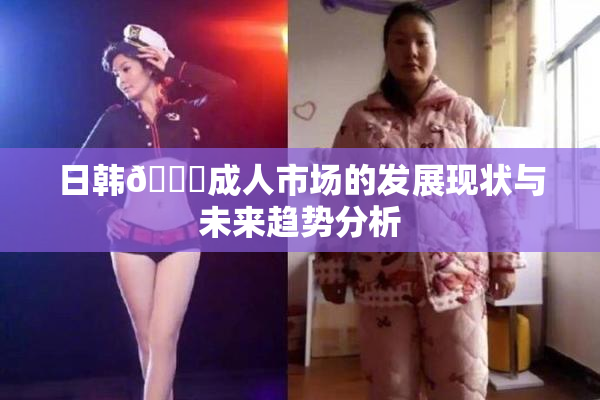 日韩🔞成人市场的发展现状与未来趋势分析