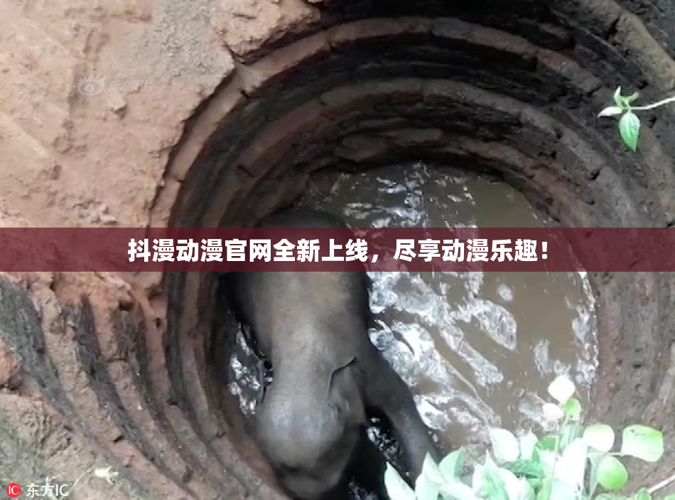 抖漫动漫官网全新上线，尽享动漫乐趣！