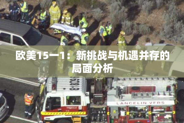 欧美15一1：新挑战与机遇并存的局面分析