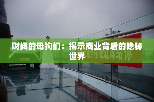 财阀的母狗们：揭示商业背后的隐秘世界