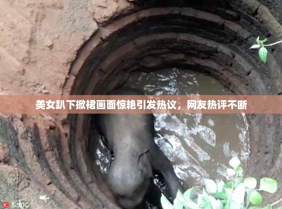 美女趴下掀裙画面惊艳引发热议，网友热评不断