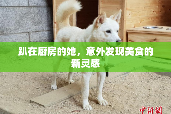 趴在厨房的她，意外发现美食的新灵感