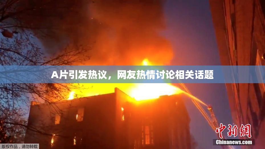 A片引发热议，网友热情讨论相关话题