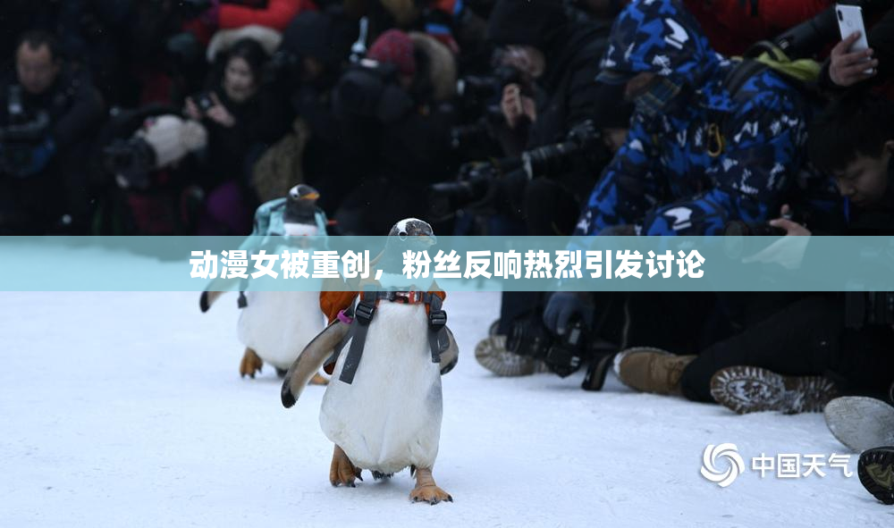 动漫女被重创，粉丝反响热烈引发讨论