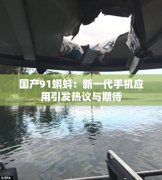 国产91蝌蚪：新一代手机应用引发热议与期待