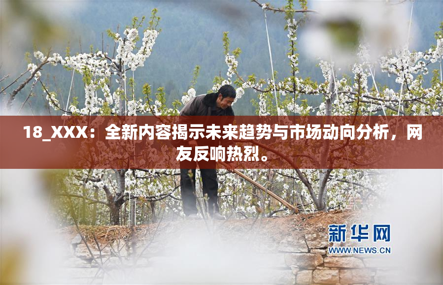 18_XXX：全新内容揭示未来趋势与市场动向分析，网友反响热烈。