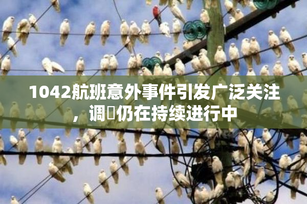 1042航班意外事件引发广泛关注，调査仍在持续进行中