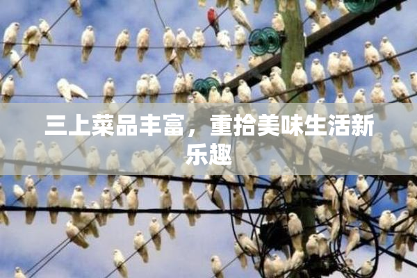 三上菜品丰富，重拾美味生活新乐趣
