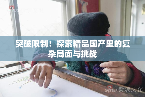 突破限制！探索精品国产里的复杂局面与挑战