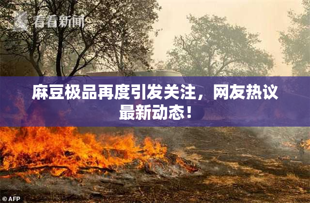麻豆极品再度引发关注，网友热议最新动态！